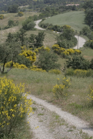 Ein Weg durch die Veranstaltung Ein Weg durch die Veranstaltung
